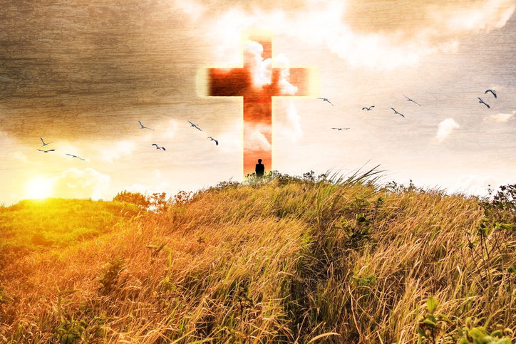 The Light of Everyman