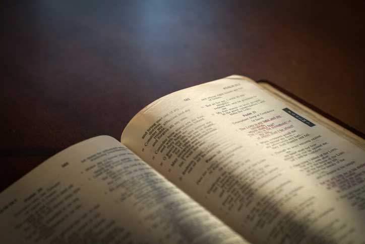 bible analyzer 6 bible analyzer 6